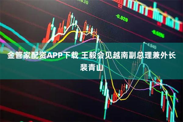 金管家配资APP下载 王毅会见越南副总理兼外长裴青山