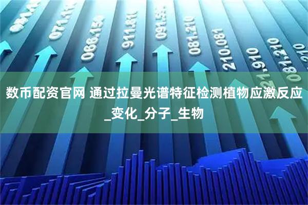 数币配资官网 通过拉曼光谱特征检测植物应激反应_变化_分子_生物