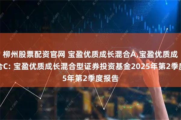 柳州股票配资官网 宝盈优质成长混合A,宝盈优质成长混合C: 宝盈优质成长混合型证券投资基金2025年第2季度报告